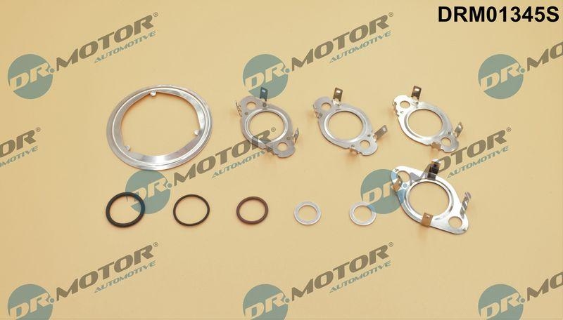 Dr.Motor Automotive Dichtungssatz, AGR-System