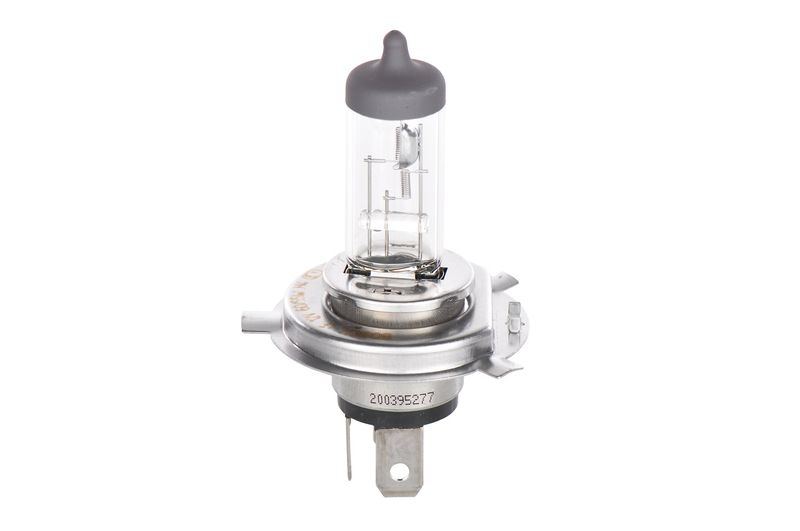 BOSCH Glühlampe, Fernscheinwerfer ECO Plus 100 WS