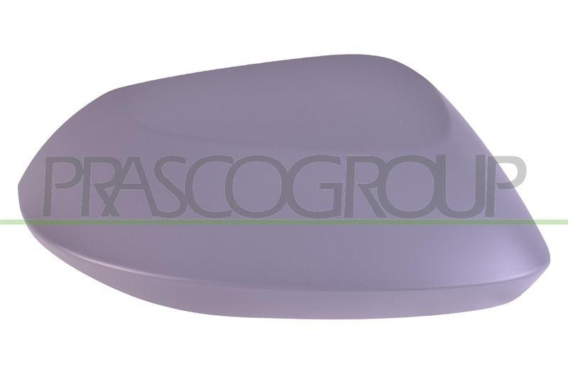 PRASCO Cover, exterior mirror