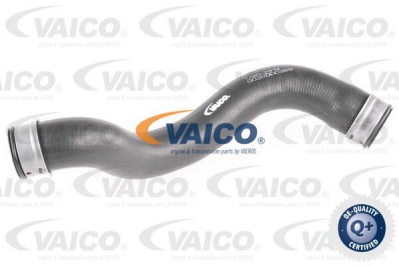 VAICO Radiator Hose Q+, original equipment manufacturer quality