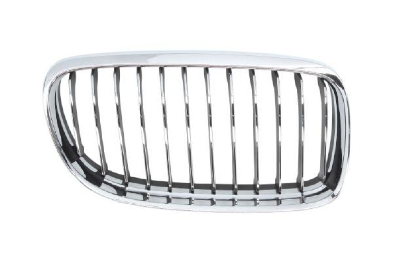 BLIC Radiator Grille