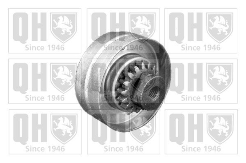 QUINTON HAZELL Tensioner Pulley, V-ribbed belt