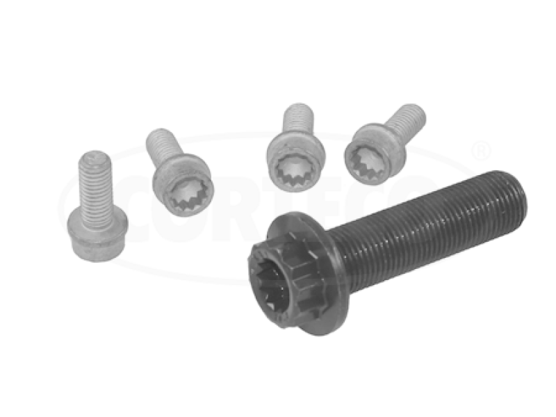 CORTECO Bolt Set, crankshaft pulley