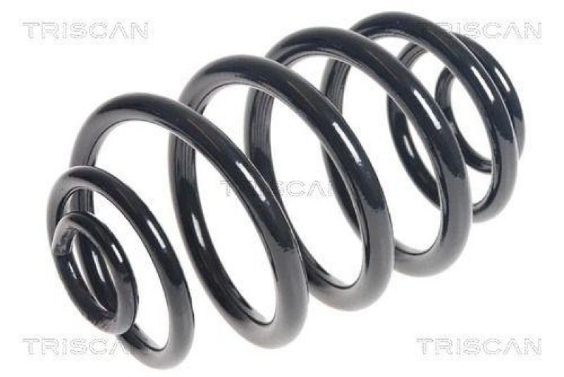 TRISCAN Coil Spring