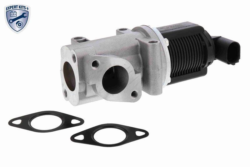 VEMO EGR Valve EXPERT KITS +