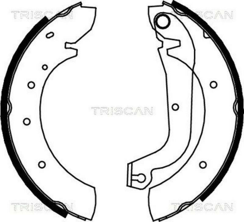 TRISCAN Brake Shoe Set