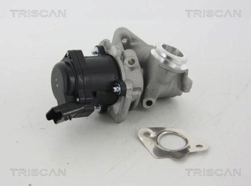 TRISCAN EGR Valve