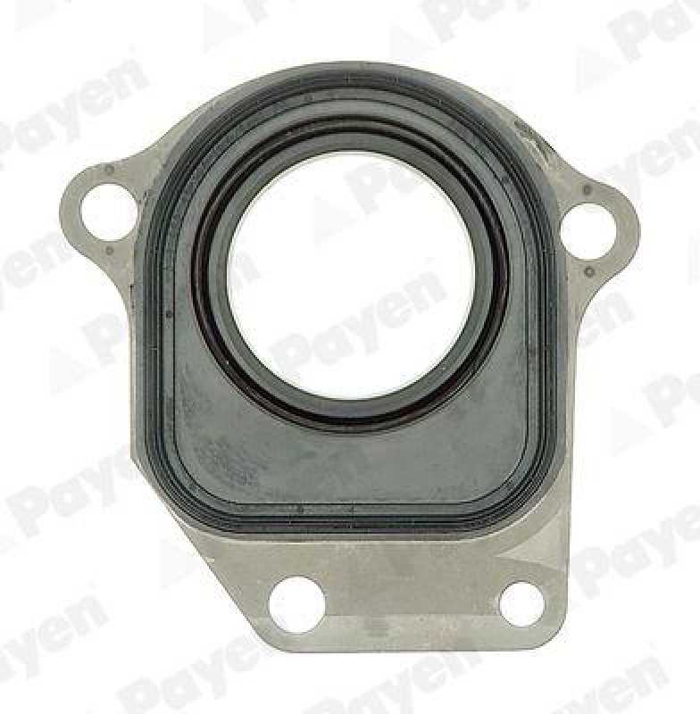 PAYEN Shaft Seal, intermediate shaft