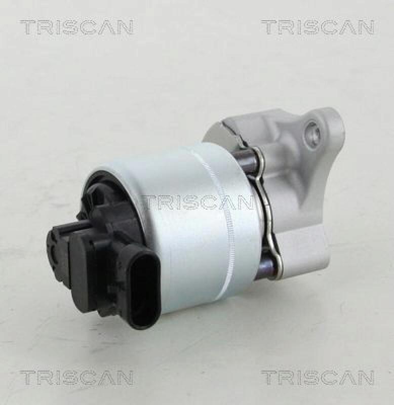 TRISCAN EGR Valve