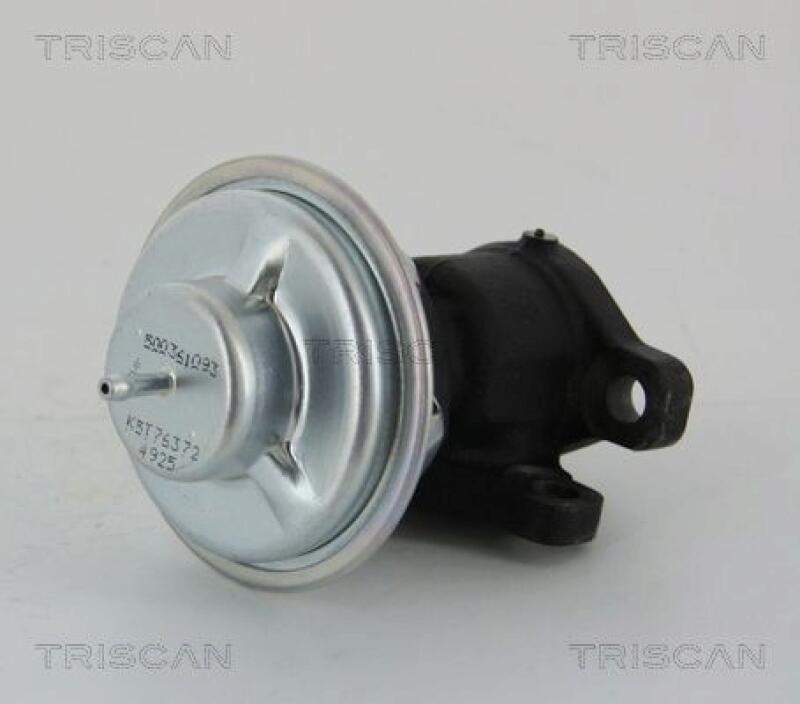 TRISCAN EGR Valve