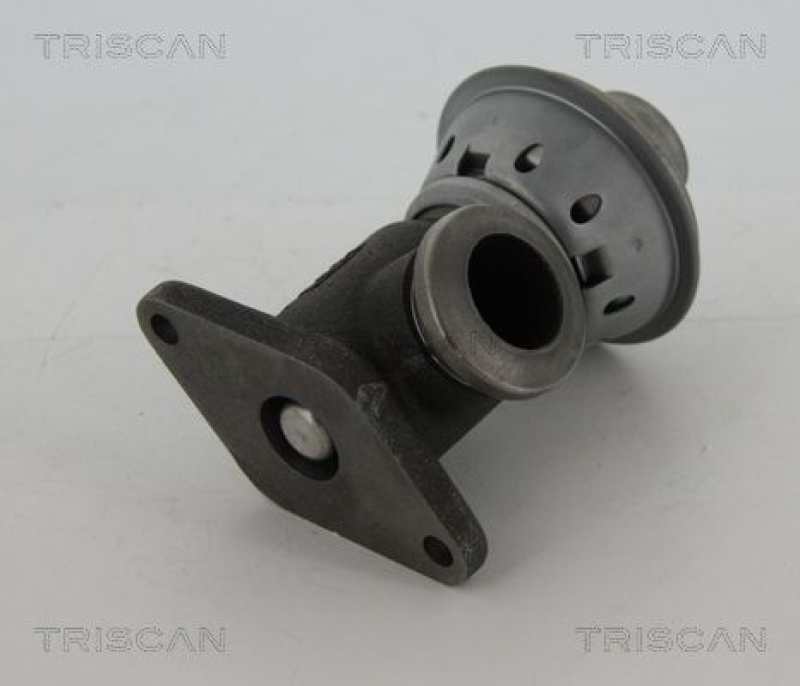 TRISCAN EGR Valve