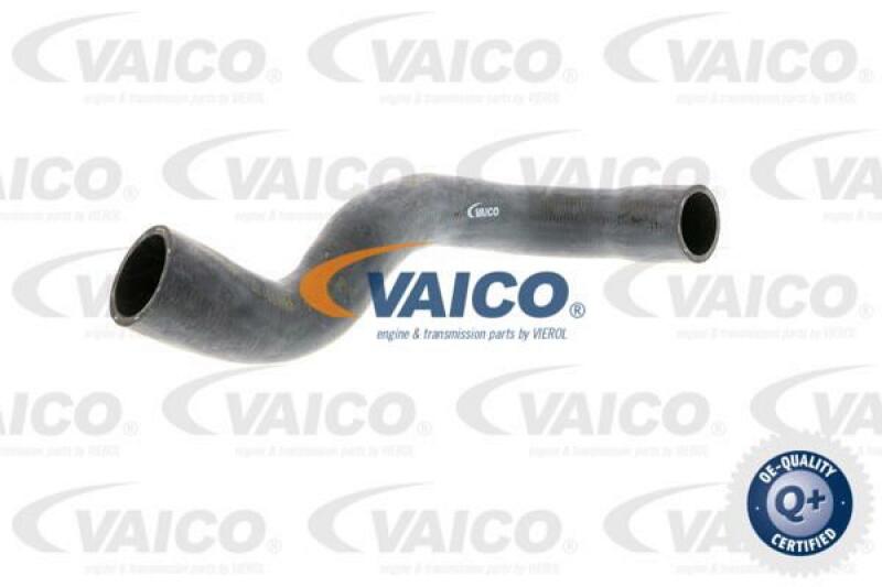 VAICO Radiator Hose Q+, original equipment manufacturer quality