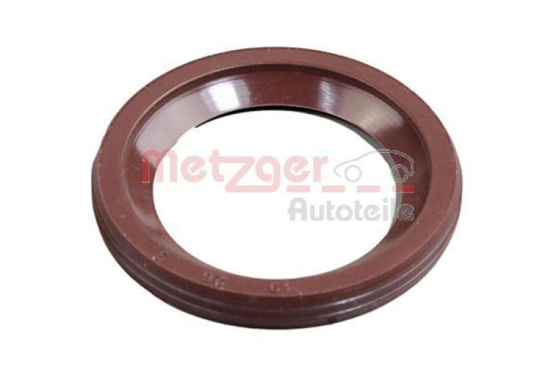 METZGER Seal, injector holder