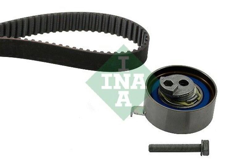 INA Timing Belt Set