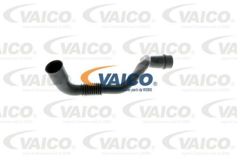 VAICO Hose, cylinder head cover breather Original VAICO Quality