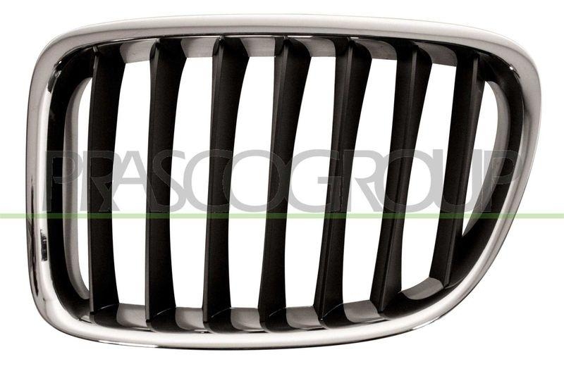 Radiator Grille