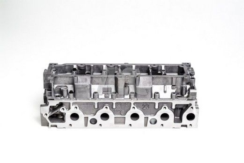 AMC Cylinder Head