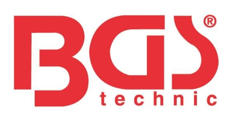 BGS®-Aufkleber | 250 x 150 mm
