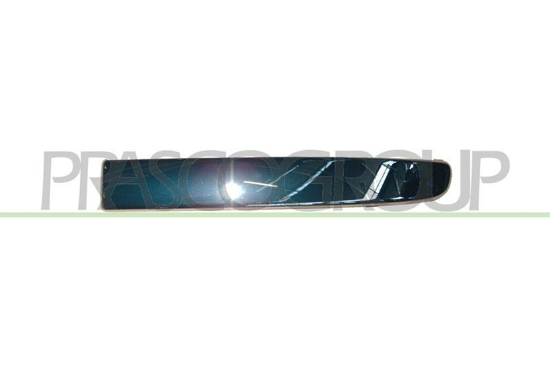 Trim/Protective Strip, bumper Premium