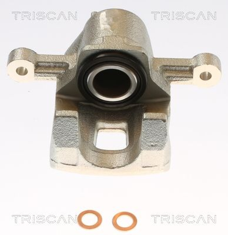 TRISCAN Bremssattel