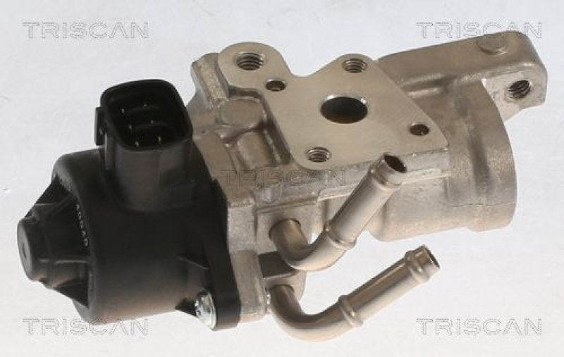 TRISCAN EGR Valve