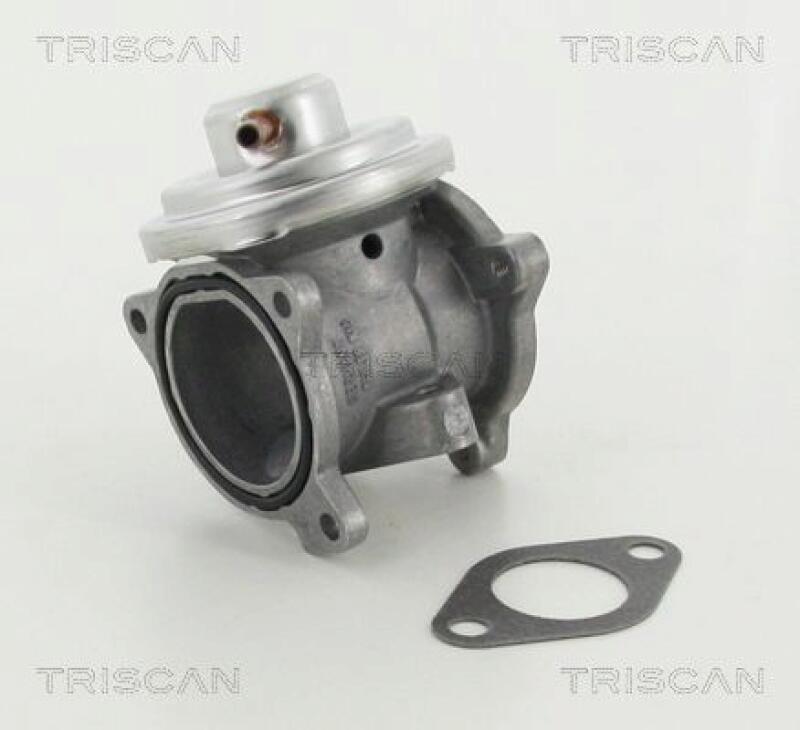 TRISCAN EGR Valve