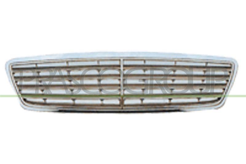 Radiator Grille Premium