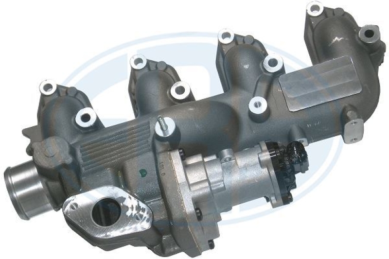 ERA EGR Valve