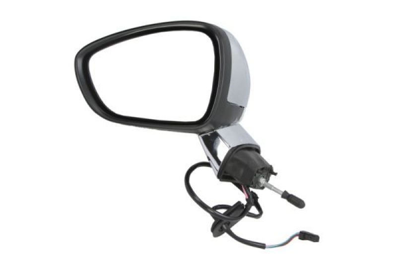 BLIC Exterior Mirror