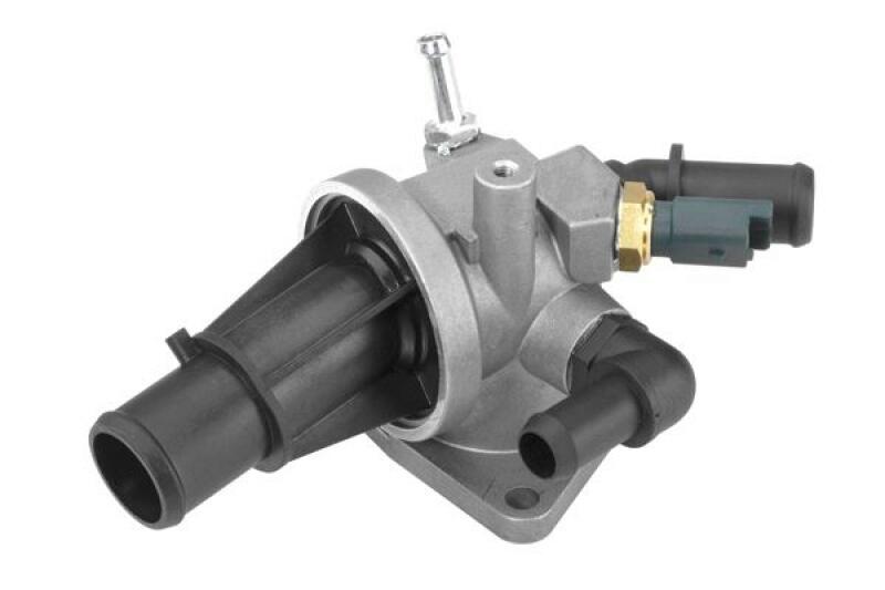 BorgWarner (Wahler) Thermostat, coolant