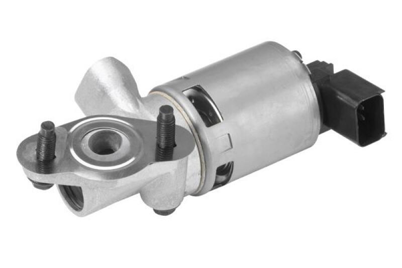 BorgWarner (Wahler) AGR-Ventil