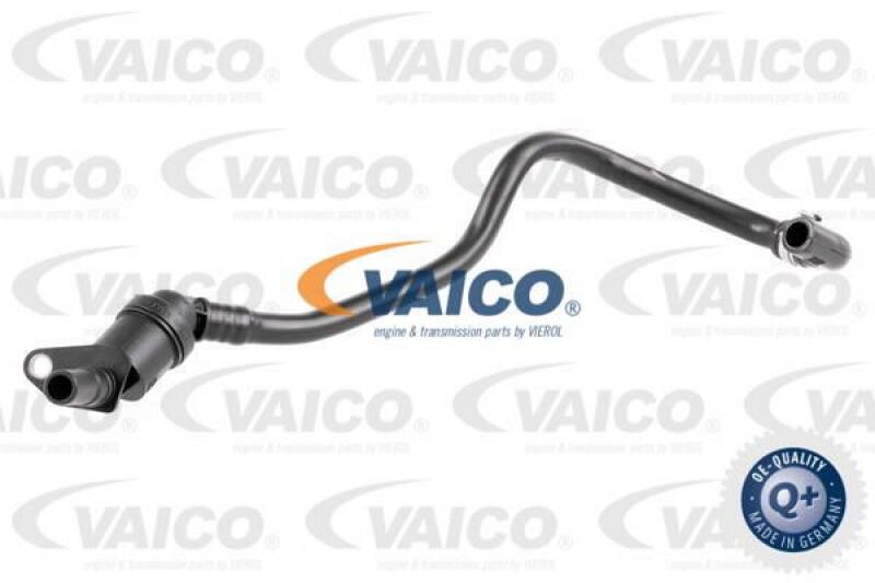 VAICO Valve, fuel supply system Q+, original equipment manufacturer quality MADE IN GERMANY