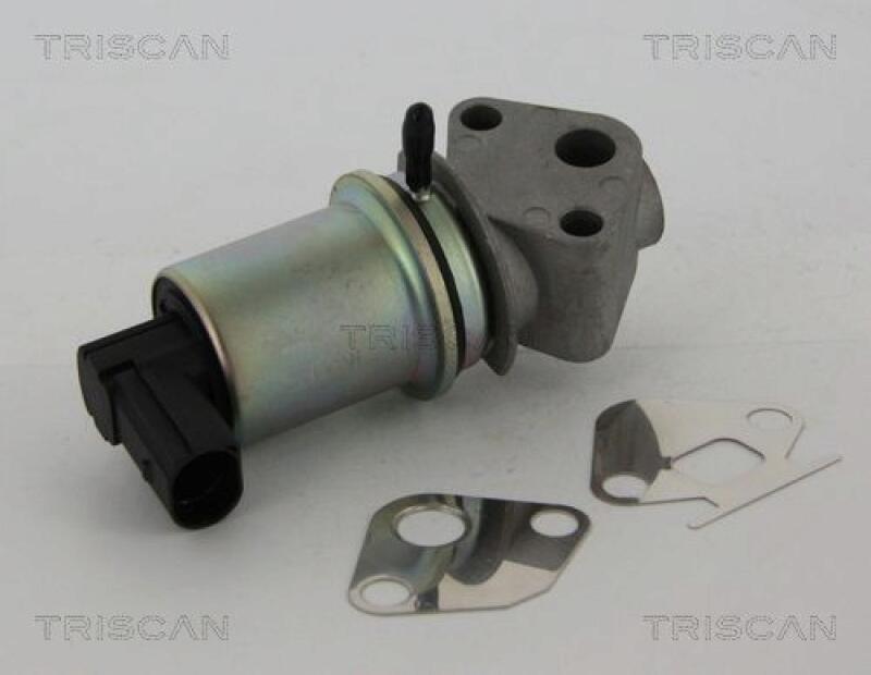 TRISCAN EGR Valve