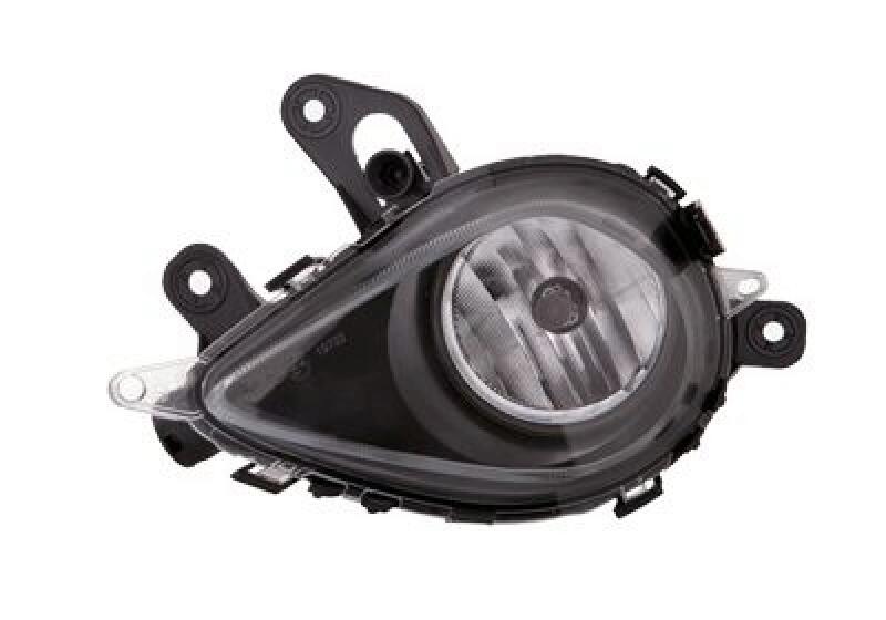 VAN WEZEL Fog Light