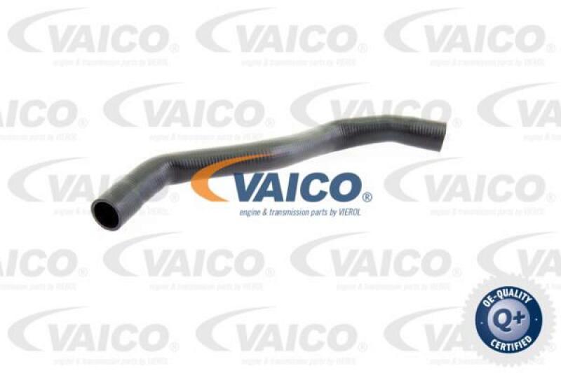 VAICO Radiator Hose Q+, original equipment manufacturer quality