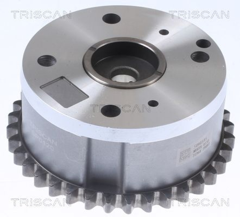 TRISCAN Timing Chain Kit