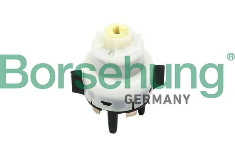 Borsehung Ignition Switch