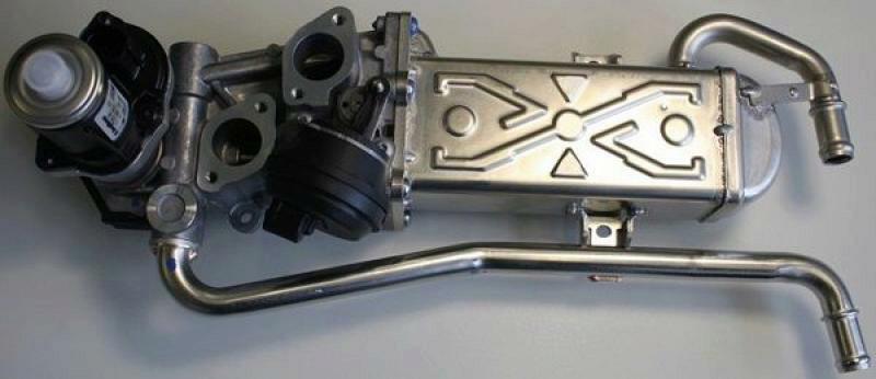 BorgWarner (Wahler) EGR Module