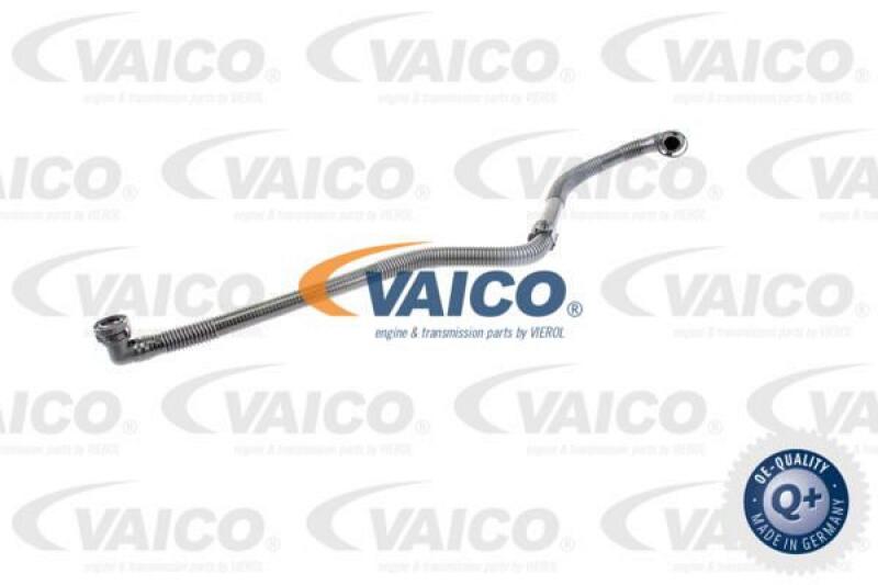 VAICO Hose, air supply Q+, original equipment manufacturer quality MADE IN GERMANY