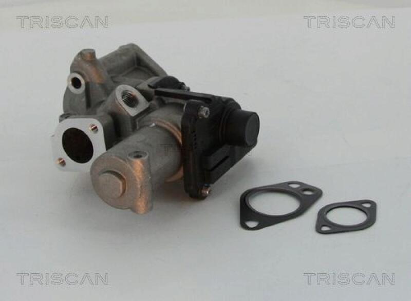 TRISCAN EGR Valve