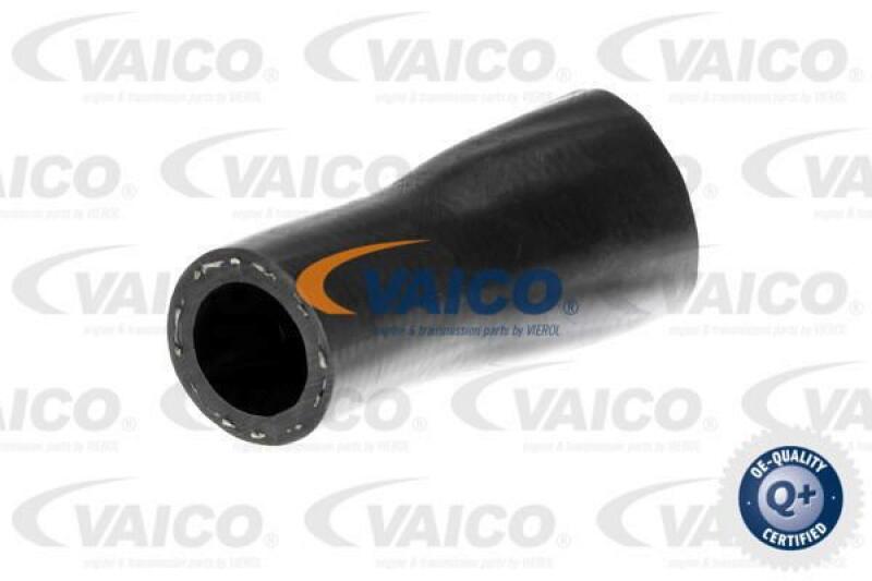 VAICO Charger Air Hose Q+, original equipment manufacturer quality