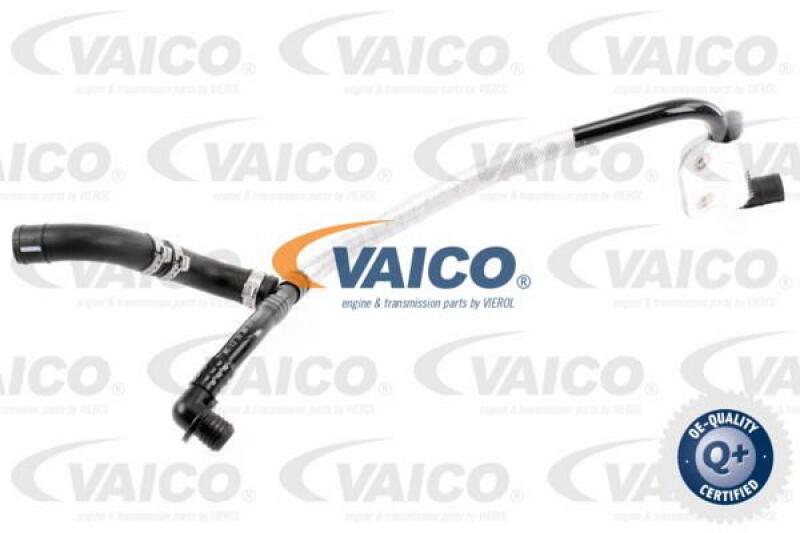 VAICO Vacuum Hose, braking system Q+, original equipment manufacturer quality