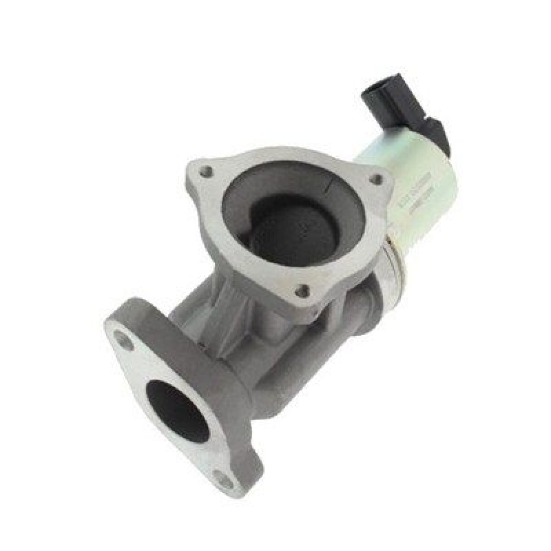 MAGNETI MARELLI EGR Valve