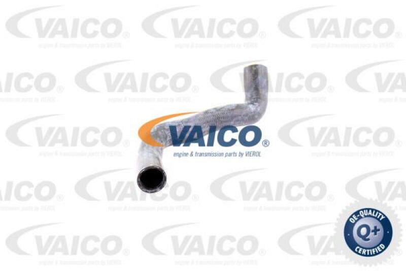 VAICO Radiator Hose Q+, original equipment manufacturer quality