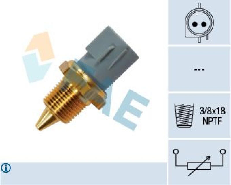 FAE Sensor, Kühlmitteltemperatur