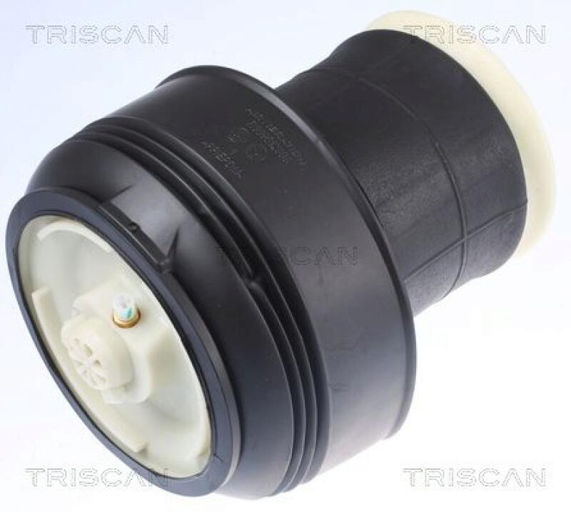 TRISCAN Air Spring, suspension