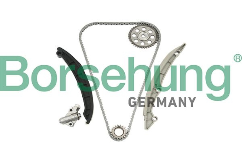 Borsehung Timing Chain Kit