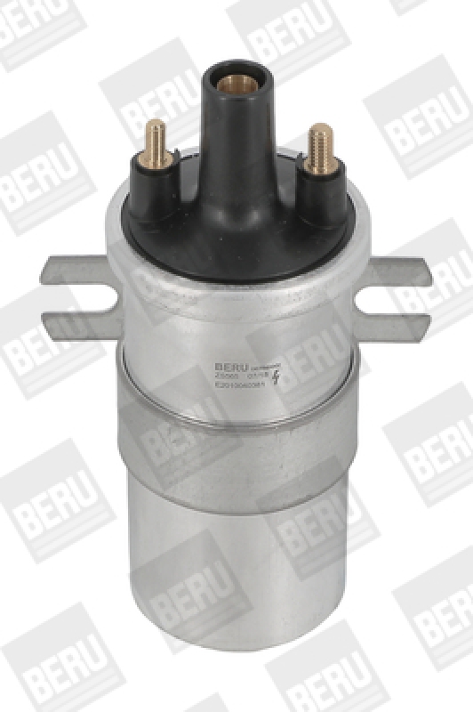 BorgWarner (BERU) Ignition Coil