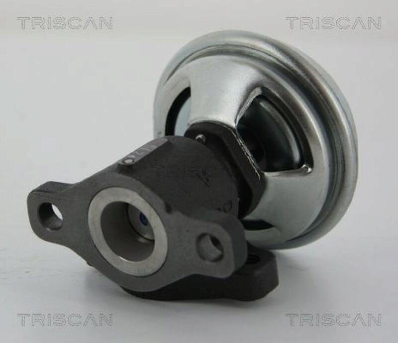 TRISCAN EGR Valve