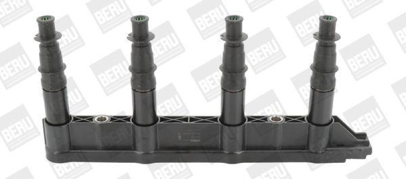 BorgWarner (BERU) Ignition Coil